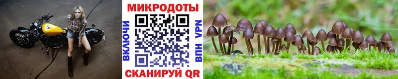 мега вход  Гусь-Хрустальный  Псилоцибиновые грибы ЛСД  купить наркотики цена 
