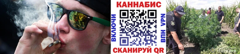 где найти наркотики  площадка формула  Бошки марихуана гибрид  Гусь-Хрустальный 